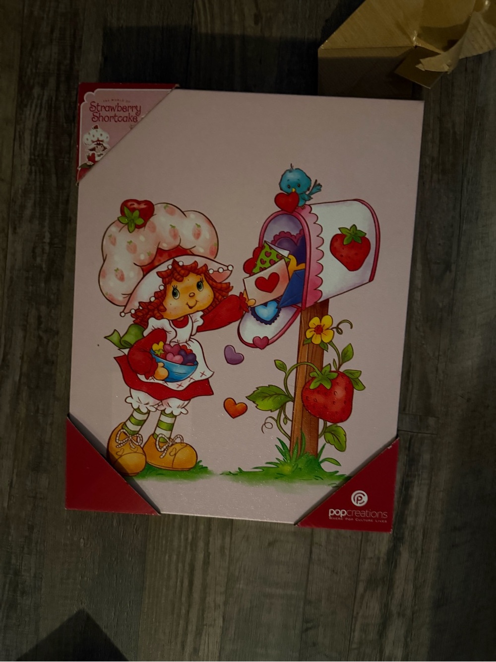 Strawberry Shortcake Pink Mailbox Canvas Kids Toy Art